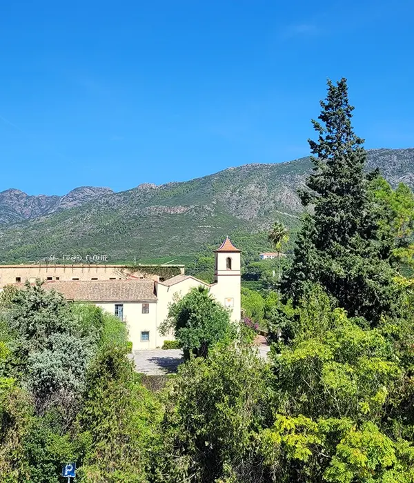 UDH centro de desintoxicación